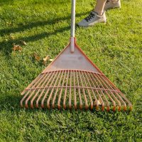 plastic-garden-rakes-colecting-debris-and-fallen-l-2021-12-09-20-23-49-utc (1)